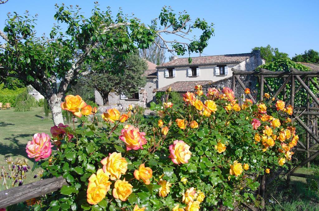 Luxury B&B Maison A Votre Sante, In Bordeaux Wine Region Savignac-de-Duras Luaran gambar